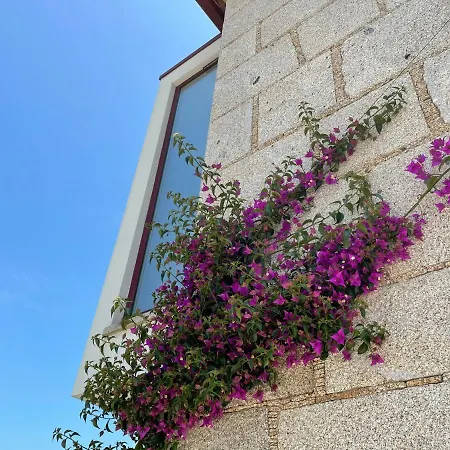 Casa Do Arco *