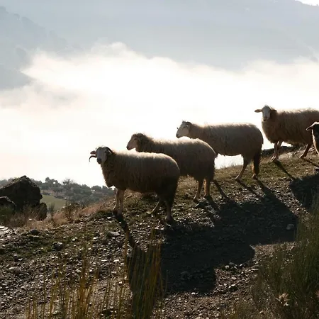 Casa Do Arco Friastelas