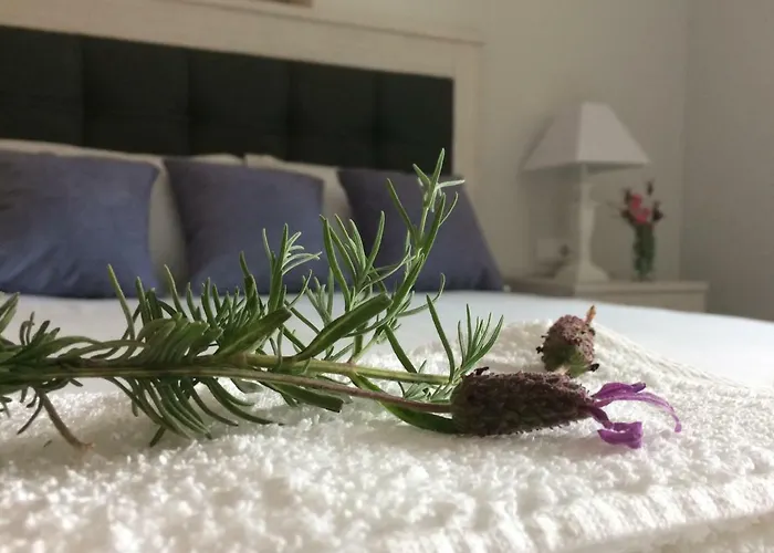 Ferienhaus Casa Do Arco Friastelas