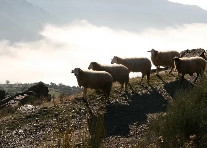 Casa Do Arco Friastelas